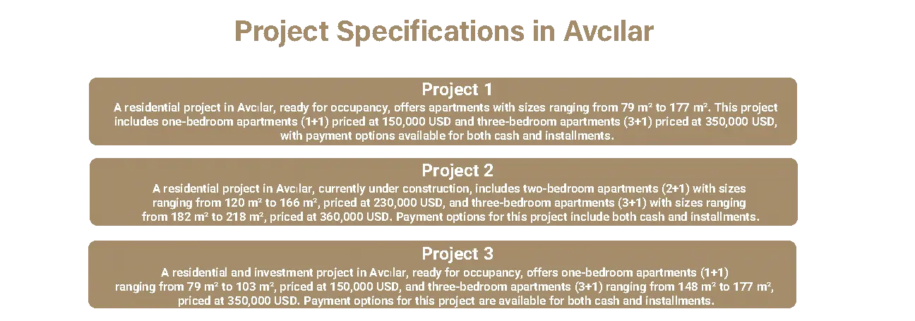 Details of Avcılar neighborhood projects