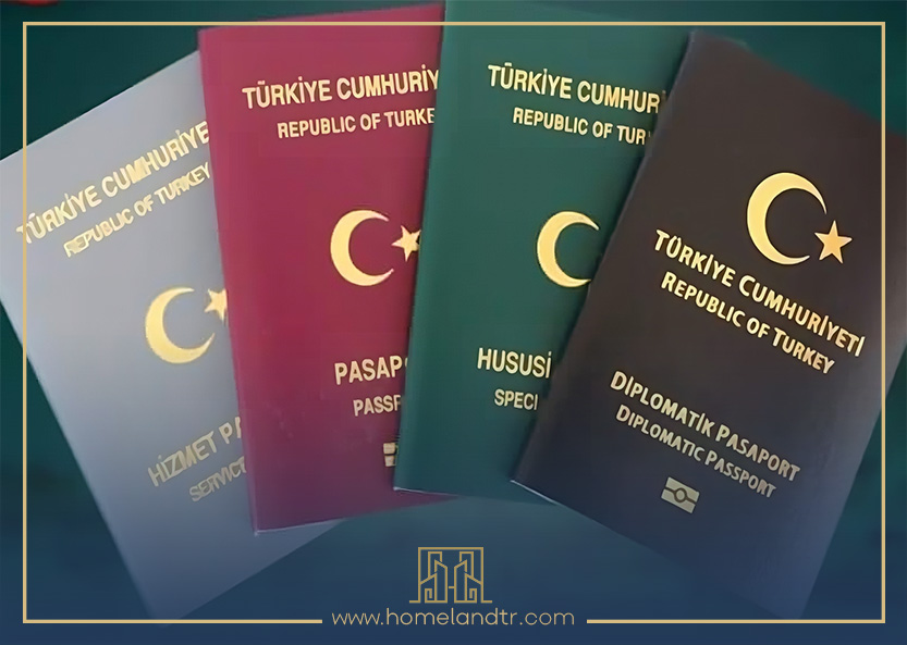 turkey passport types 2024